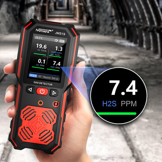 Hydrogen Sulfide Detection