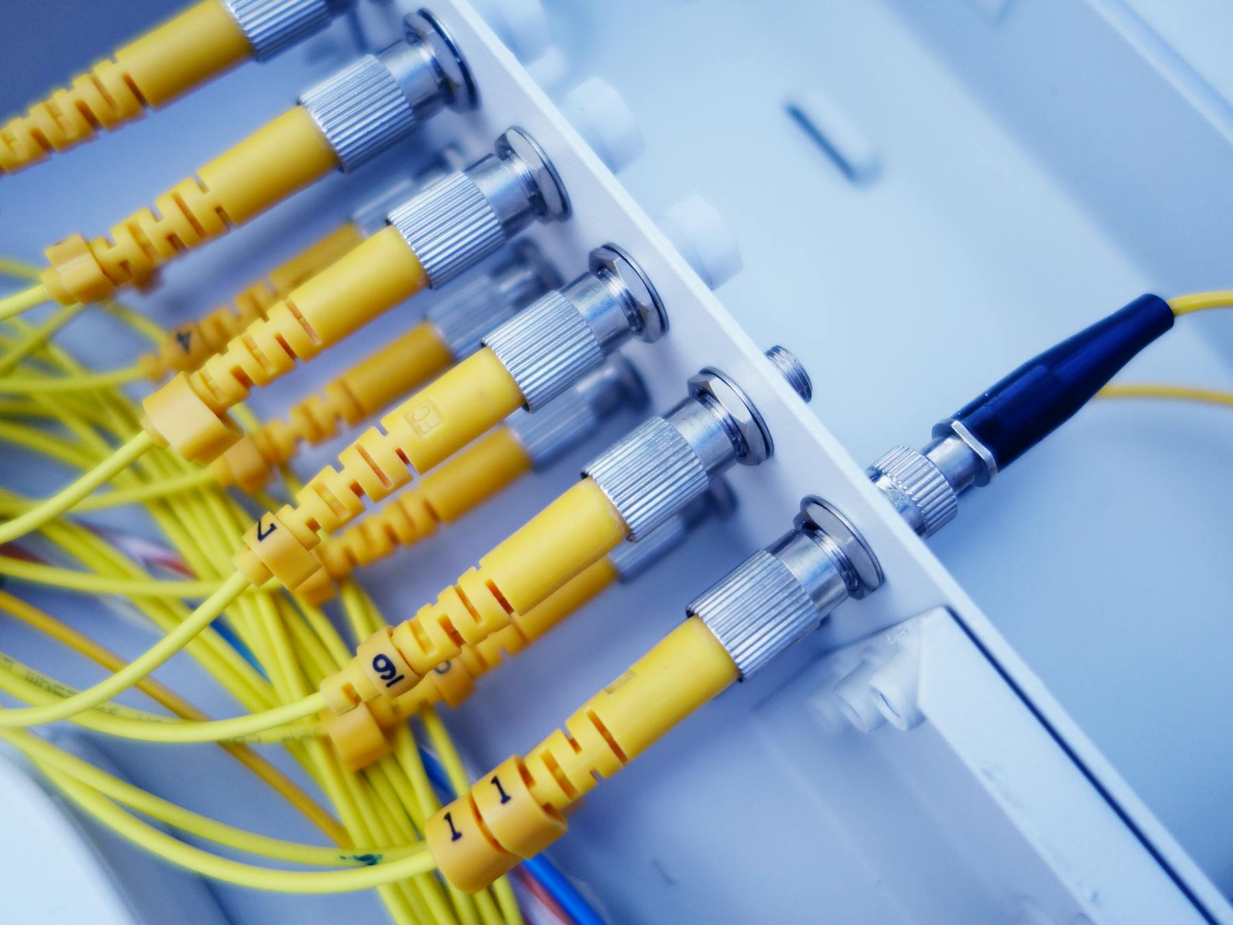 Yellow fiber optic patch cords connected to a real fiber distribution panel